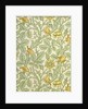 Tom Tit wallpaper by John Henry Dearle