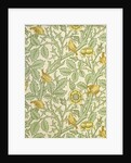 Tom Tit wallpaper by John Henry Dearle