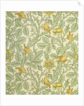 Tom Tit wallpaper by John Henry Dearle