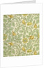 Tom Tit wallpaper by John Henry Dearle