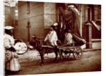 November Effigies by John Thomson