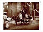 November Effigies by John Thomson
