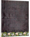 Sari, detail by Unknown