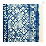 Skirt, detail. Punjab, India, 20th century by Unknown