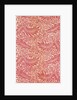 Larkspur furnishing fabric by William Morris