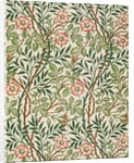 Sweet Briar wallpaper by John Henry Dearle