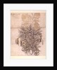 Potted Plant drawing of a dahlia with lush leaves by William Morris