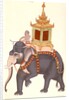 The King's elephant, Company Painting by Unknown