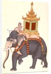The King's elephant, Company Painting by Unknown