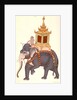 The King's elephant, Company Painting by Unknown