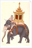 The King's elephant, Company Painting by Unknown