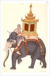 The King's elephant, Company Painting by Unknown