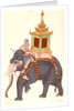 The King's elephant, Company Painting by Unknown