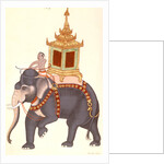 The King's elephant, Company Painting by Unknown