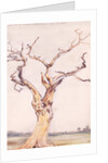 Oak in Deadham Meadows by John Constable