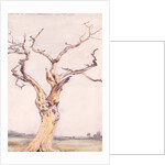 Oak in Deadham Meadows by John Constable