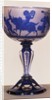 Goblet. Bavaria, Germany, 19th century by Franz Paul Zach