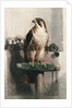 The Hawk by Landseer