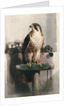 The Hawk by Landseer
