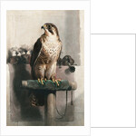 The Hawk by Landseer
