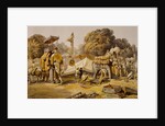 State Elephants in the Mahratta Carup by William Simpson