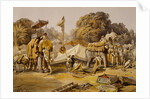 State Elephants in the Mahratta Carup by William Simpson