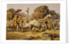 State Elephants in the Mahratta Carup by William Simpson