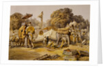 State Elephants in the Mahratta Carup by William Simpson