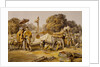 State Elephants in the Mahratta Carup by William Simpson