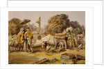 State Elephants in the Mahratta Carup by William Simpson