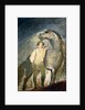 Man and Horse by David Wilkie