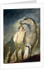 Man and Horse by David Wilkie