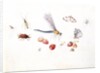 Dragonfly, Magpie Moth, Other insects and Wild strawberries by Claude Aubriet