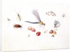 Dragonfly, Magpie Moth, Other insects and Wild strawberries by Claude Aubriet