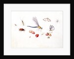 Dragonfly, Magpie Moth, Other insects and Wild strawberries by Claude Aubriet