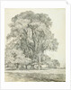 Elm Trees in Old Hall Park by John Constable
