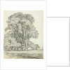 Elm Trees in Old Hall Park by John Constable