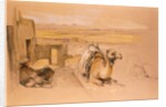 Camel in West Thebes, Egypt,  by John Frederick Lewis. England, 19th century by John Frederick Lewis