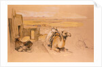Camel in West Thebes, Egypt,  by John Frederick Lewis. England, 19th century by John Frederick Lewis
