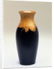 Vase by Constance A Baker
