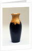 Vase by Constance A Baker