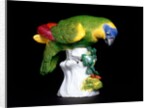 Parakeet by Johann Joachim Kändler