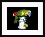 Parakeet by Johann Joachim Kändler