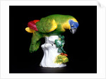 Parakeet by Johann Joachim Kändler