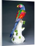 Parrot by Johann Joachim Kändler