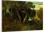 Wichwood Forest by William Turner
