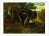 Wichwood Forest by William Turner