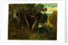 Wichwood Forest by William Turner