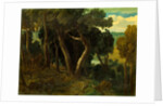 Wichwood Forest by William Turner