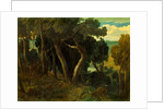 Wichwood Forest by William Turner